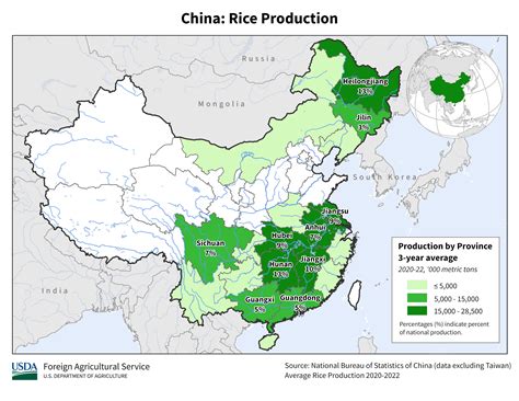 how many rice fields are in china